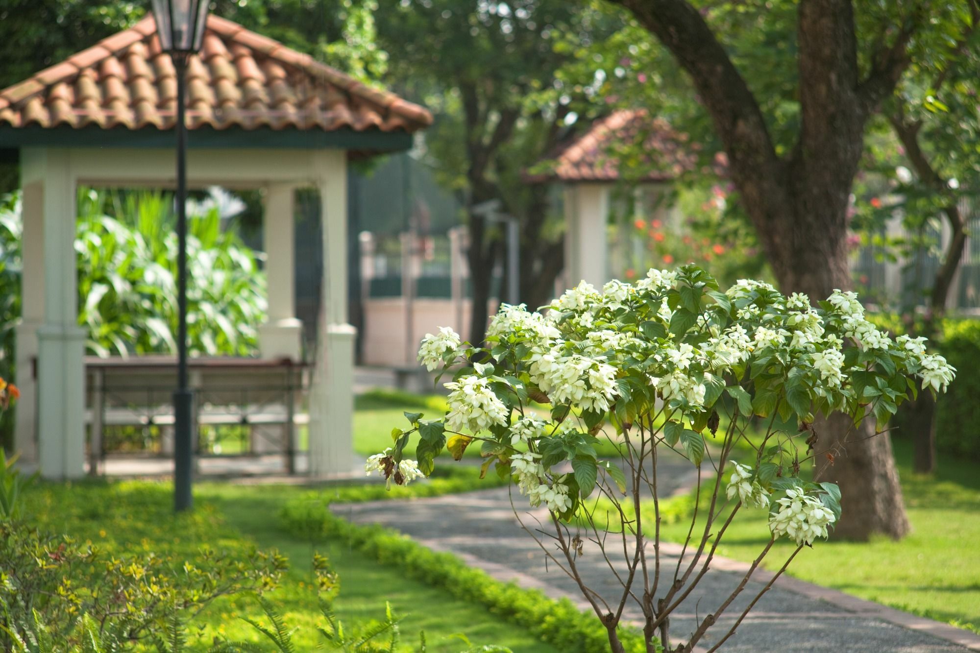 Diamond Westlake Suites Hanoi Esterno foto